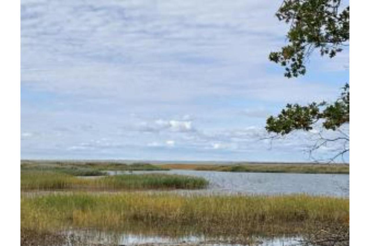 Lakeview & Wildlife Au Gres Ngoại thất bức ảnh
