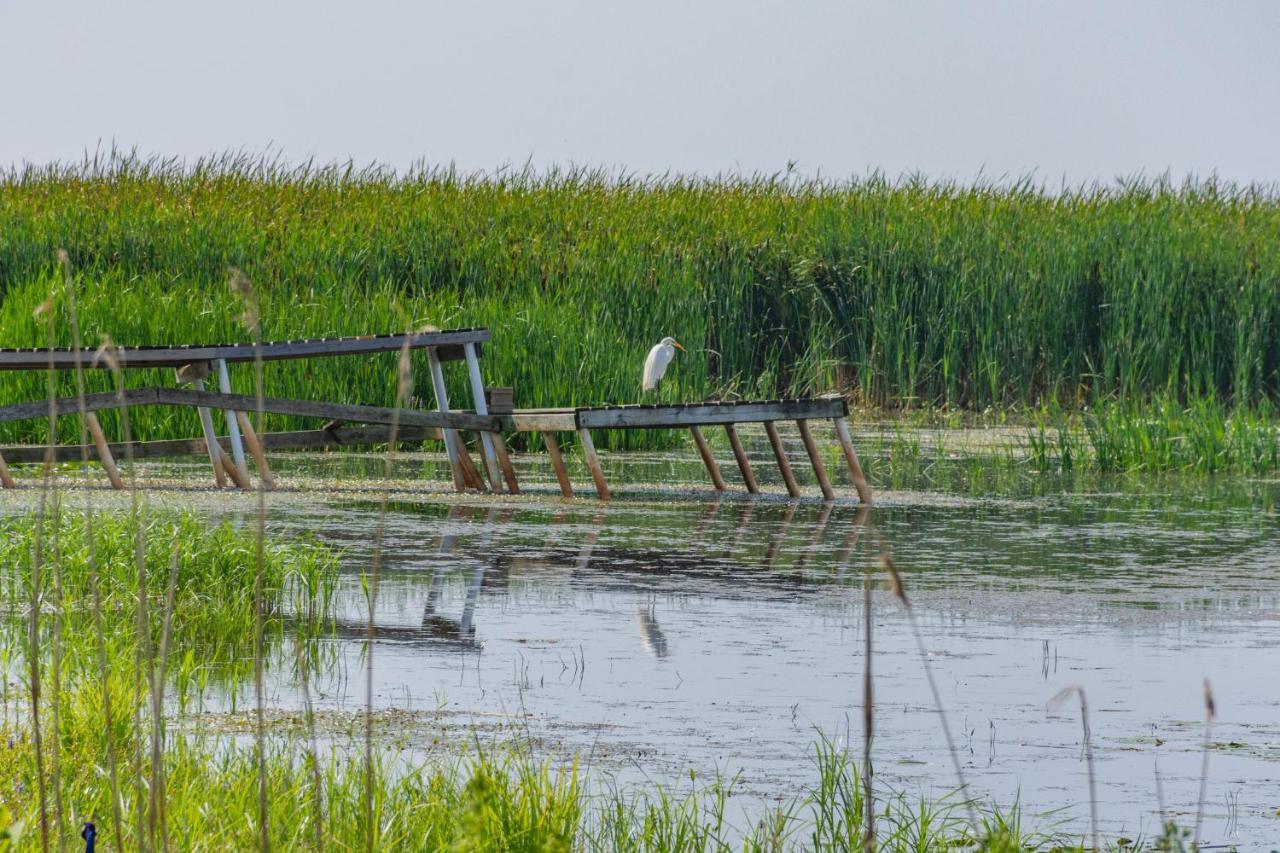 Lakeview & Wildlife Au Gres Ngoại thất bức ảnh